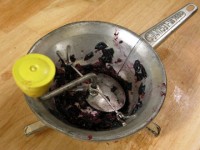 Concord Grape Gelato