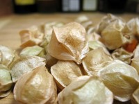 Unhusked Ground Cherries