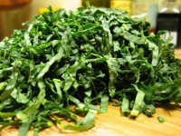 Raw lacitano kale for Kale and Ricotta Salata Salad