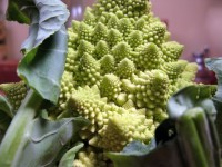 Roasted Romanesco Cauliflower