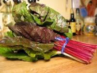 A Bunch of Swiss Chard