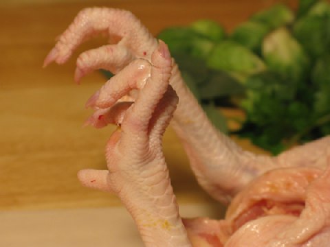 chicken-feet Chicken with its feet