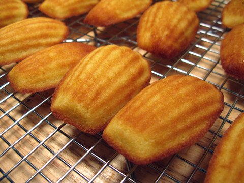 madelines-cooling Jasmine madelines cooling on a rack