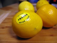 Pretty Meyer Lemons