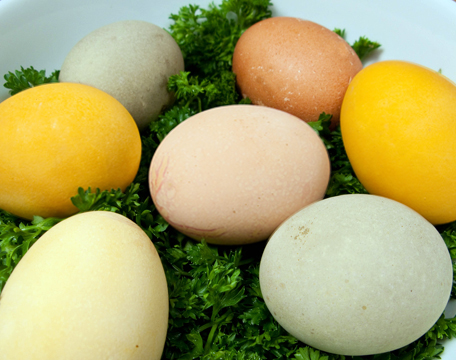 easter eggs. Vegetable-Dyed Easter Eggs
