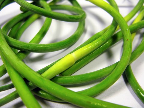 garlic-scapes Garlic Scapes