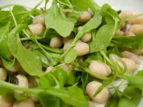 cranberry-bean-salad Fresh Cranberry Bean and Arugula Salad